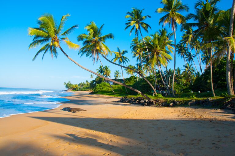 Ultimate guide to Srilanka