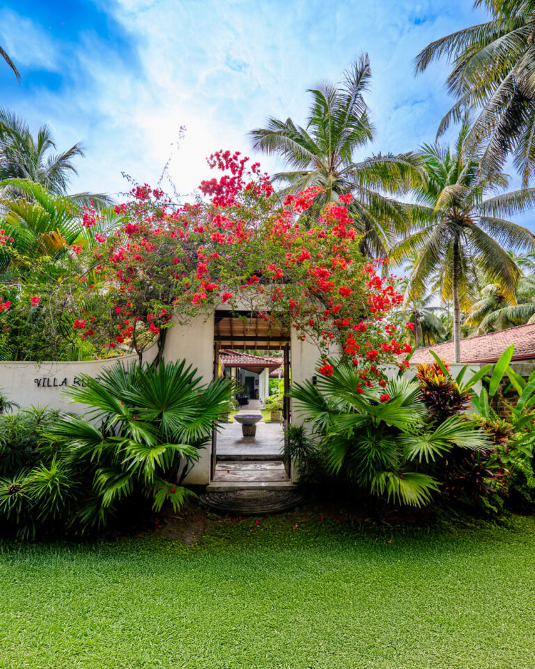 Villa Blue Lotus Gallery